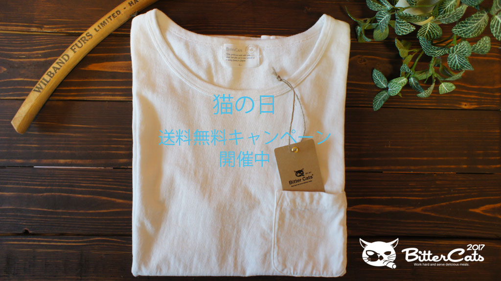 【お知らせ】猫の日 期間限定（2019/2/22～2019/2/28） 送料無料キャンペーン開催中